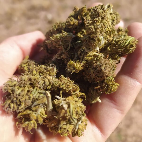 Fleurs-CBD